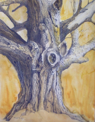 Click here to view Survivor by Linda Clowes Murray