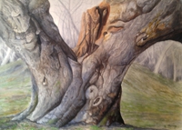 Click here to view Weatherbeaten by Linda Clowes Murray