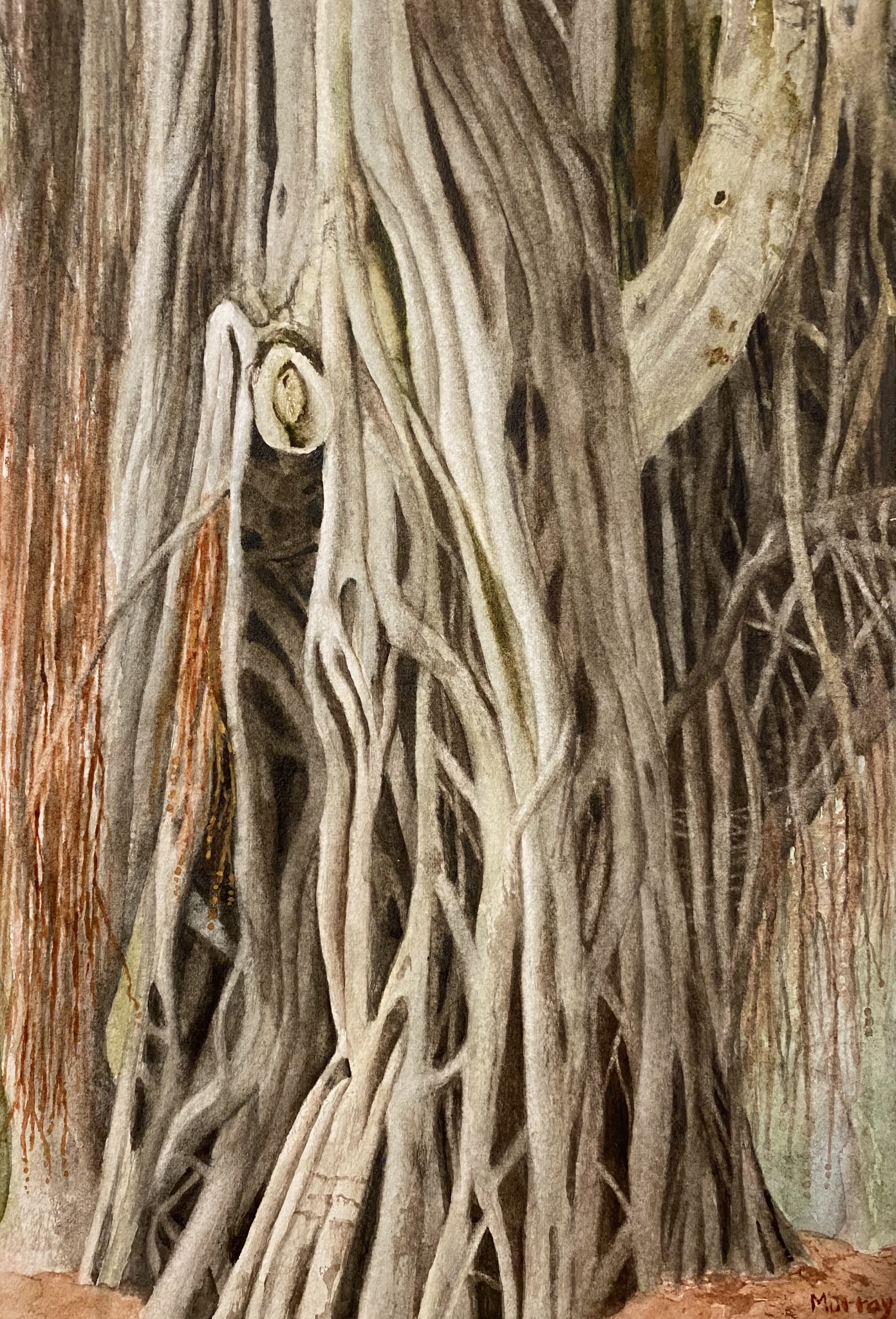 Click here to view Banyan by Linda Clowes Murray