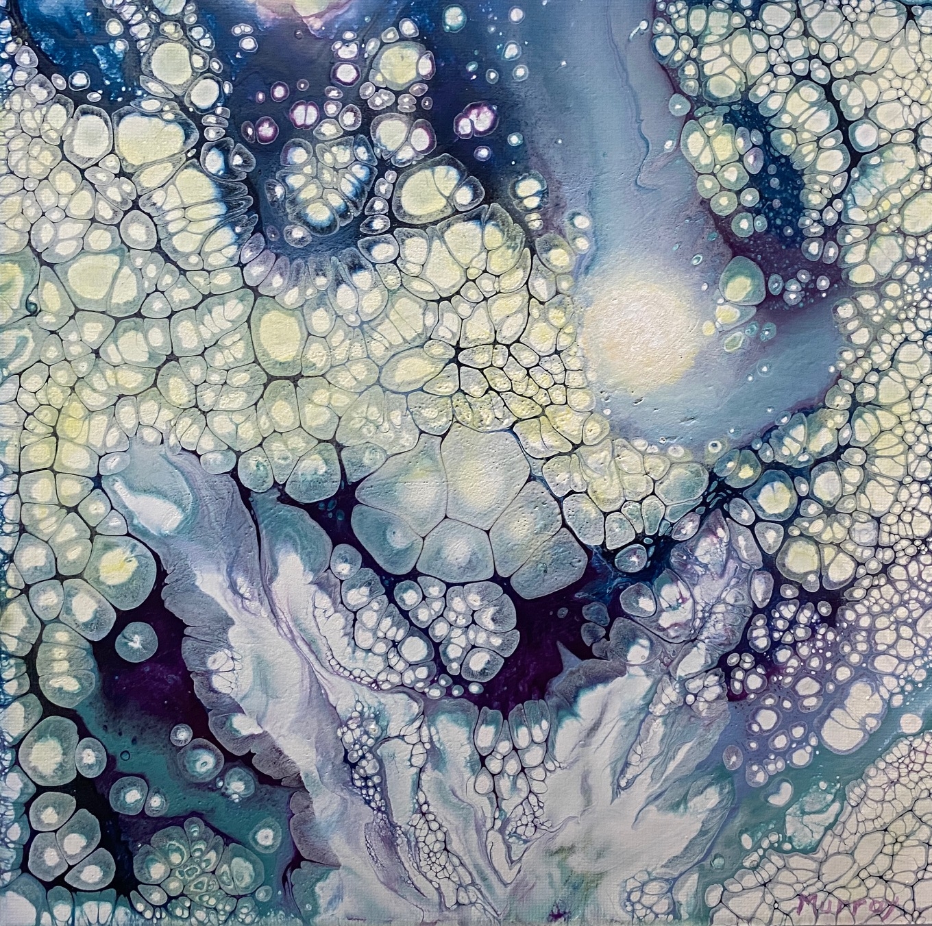 Click here to view A Star is Born by Linda Clowes Murray