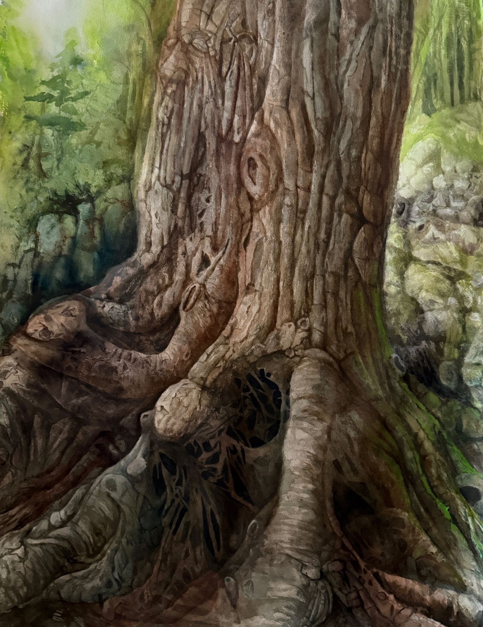 Click here to view The Tree That Remembers by Linda Clowes Murray