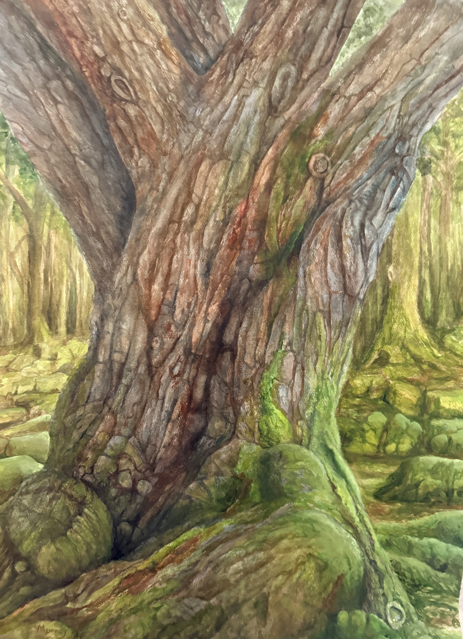 Click here to view Elder Grove by Linda Clowes Murray