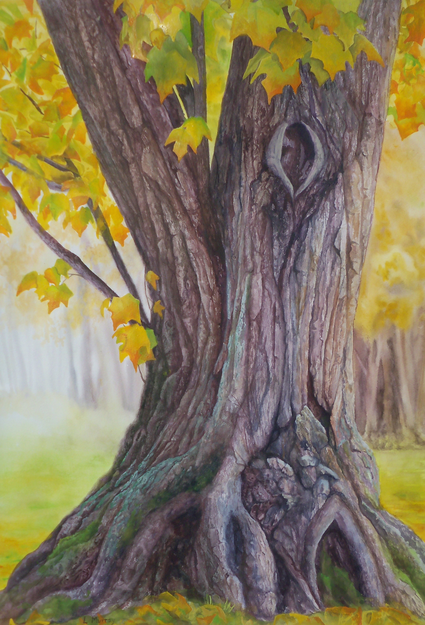 Jeff's Tree by Linda Clowes Murray